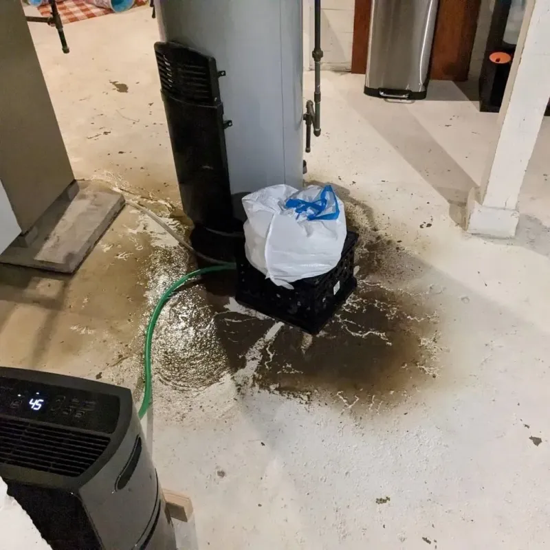 Sewage Backup Cleanup Service in Oil City, PA